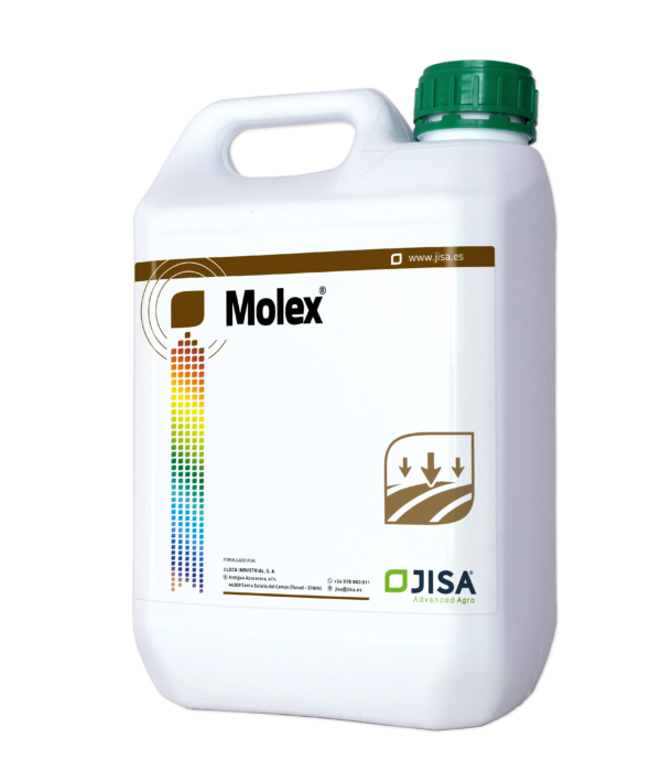 Molex