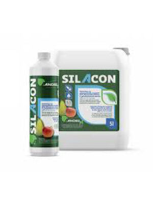 Silacon